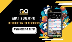 Read more about the article What Is Goexch9? Introduction for New Users